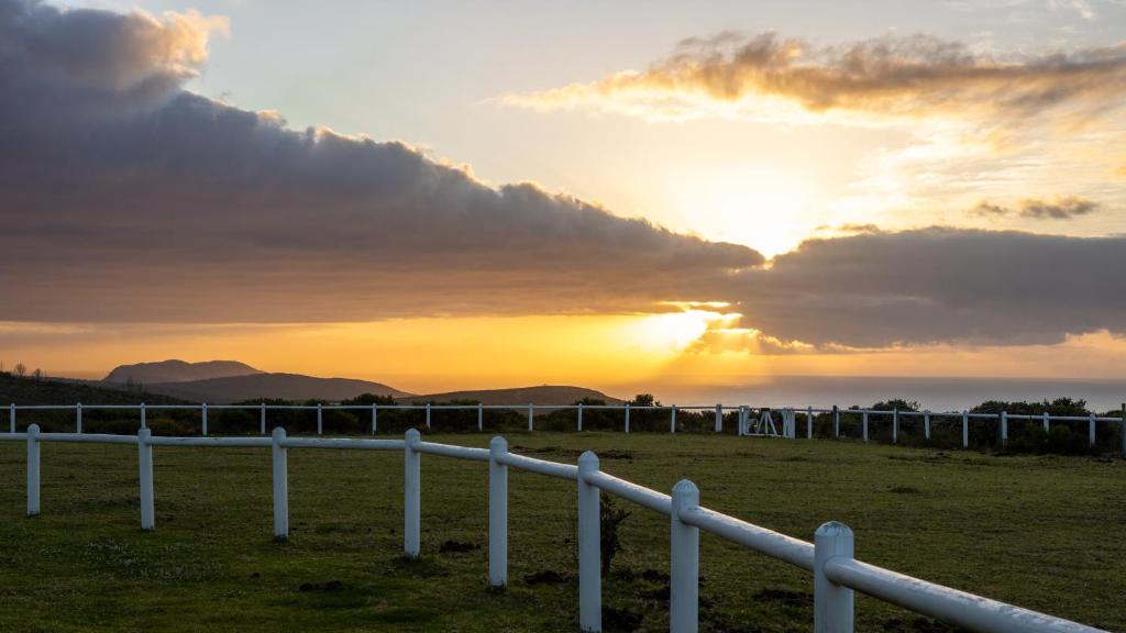 T'Niqua Stables & Lodge