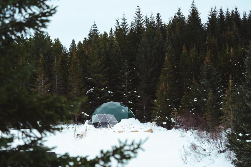 Golden Circle Domes - Glamping Experience